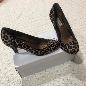 Leopard Steve Madden heels